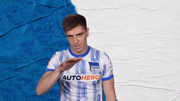 Bundesliga Berlin GIF by Hertha BSC