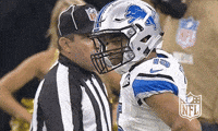 Detroit Lions Football GIF by NFL