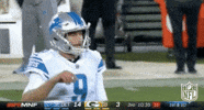 Detroit Lions Football GIF by NFL