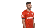 Posing Bayer 04 Sticker by Bundesliga