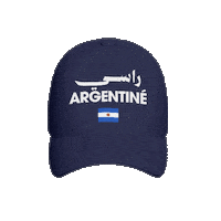 Argentina Sticker by Joe Fish