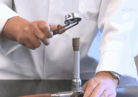 Willyfog giphygifmaker GIF