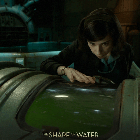 shocked sally hawkins GIF by 20th Century Fox Home Entertainment