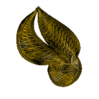 Harry Potter Magic Sticker