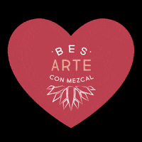 GIF by Bes-Arte con Mezcal