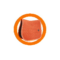 Orange Kentucky Sticker by Ohlala sellerie