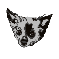 Dog Puppy Sticker by Catie Offerman