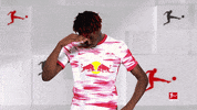 Rb Leipzig What GIF by Bundesliga