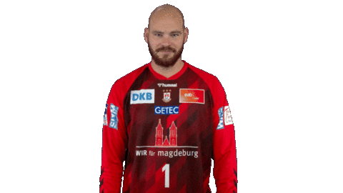 Sc Magdeburg Tickets Sticker by LIQUI MOLY HBL