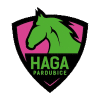 HAGAPardubice florbal haga florbalpardubice hagaspojuje Sticker
