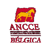 ANCCE-Belgica ancce ancce-belgica Sticker