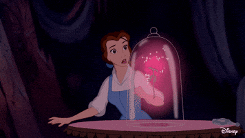 Belle GIF by Disney Princess