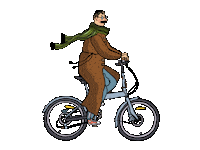 Bike Folding Sticker by Shulz bikes