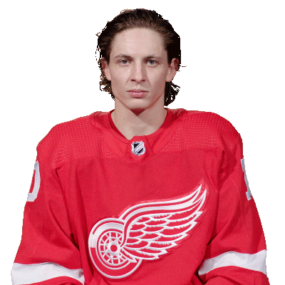 Ice Hockey No Sticker by Detroit Red Wings