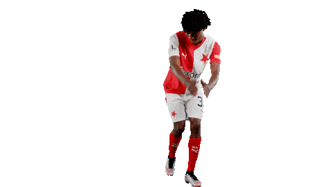 Football Soccer Sticker by SK Slavia Praha