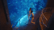 Clementine GIF by Halsey