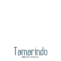 Tamarindo Real Estate Sticker by Tamarindo Bienes Raíces