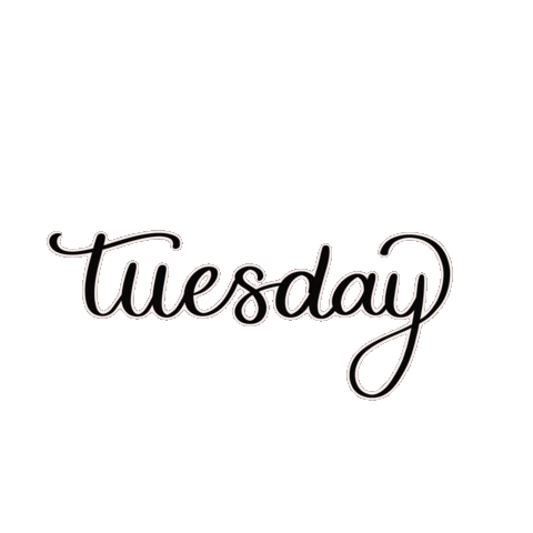 PinkPaperFox giphyupload tuesday handlettering dienstag Sticker