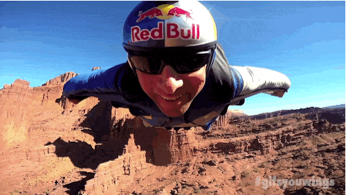 Happy Wingsuit GIF by Red Bull