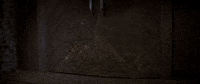 patrick swayze coolidge after midnite GIF by Coolidge Corner Theatre