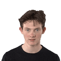 Disney Themepark Sticker