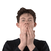 Disney Themepark Sticker