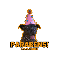 Cacausando cachorro parabens cachorros cacausando Sticker