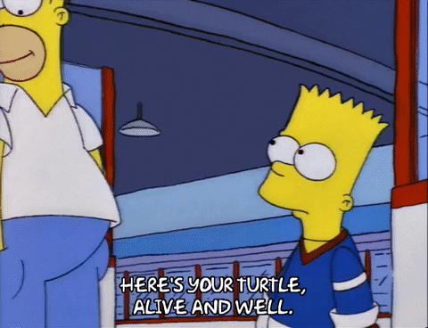 homer simpson GIF
