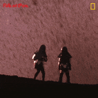 Explore National Geographic GIF by Nat Geo Wild