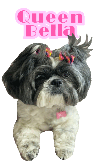 Dog Queen Sticker