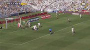 western sydney wanderers football GIF by wswanderersfc
