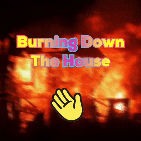 Burning Down The House Creator GIF by The3Flamingos