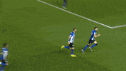 swfc celebration goal swfc matias GIF
