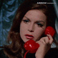 No Way Wow GIF by Arrow Video