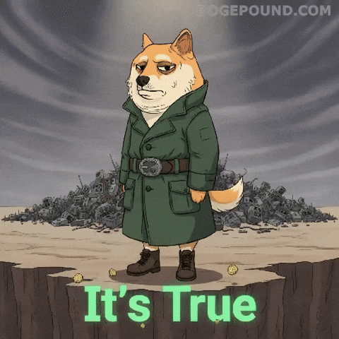 Serious Dog GIF by Doge Pound