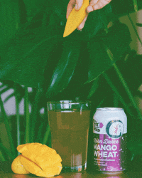 GIF by Old Yale Brewing
