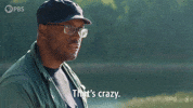 Episode 6 Wow GIF by PBS