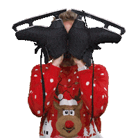 Peek A Boo Christmas Sticker by SBS6