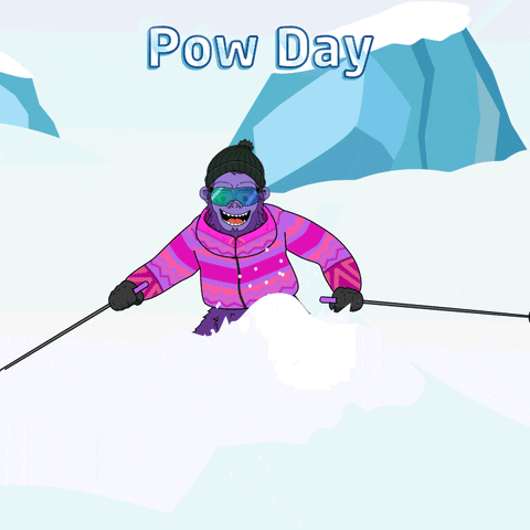 ShreddingSassy snow ski pow powder GIF