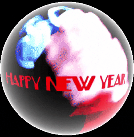 Stanci happy new year 2020 stanka gjuric GIF