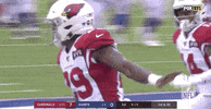 Regular Season Football GIF by NFL