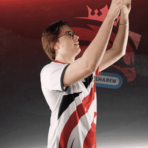 League Jungle GIF by Austrian Force eSports