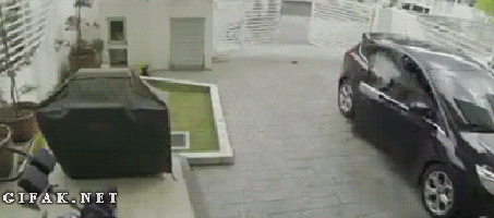 purse get GIF
