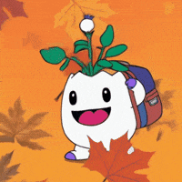 Back To School Fall GIF by Magic Eden