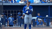 Blue Jays Mlb GIF by Toronto Blue Jays