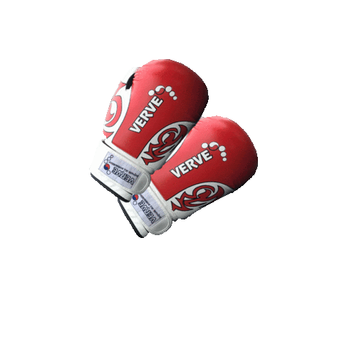 Martial Arts Boxing Sticker by Verve Taekwondo