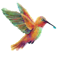 Dioxygene bird ecology hummingbird ecologie Sticker