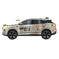 Vaskapilot Sticker by Shamilov