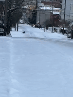 Seattle Sledder Slides Down Street as Winter Weather Grips Northwest