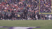 Big Ten Michigan GIF by Northwestern Athletics
